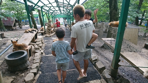 29���E�����L�c�l�����x���W�����I